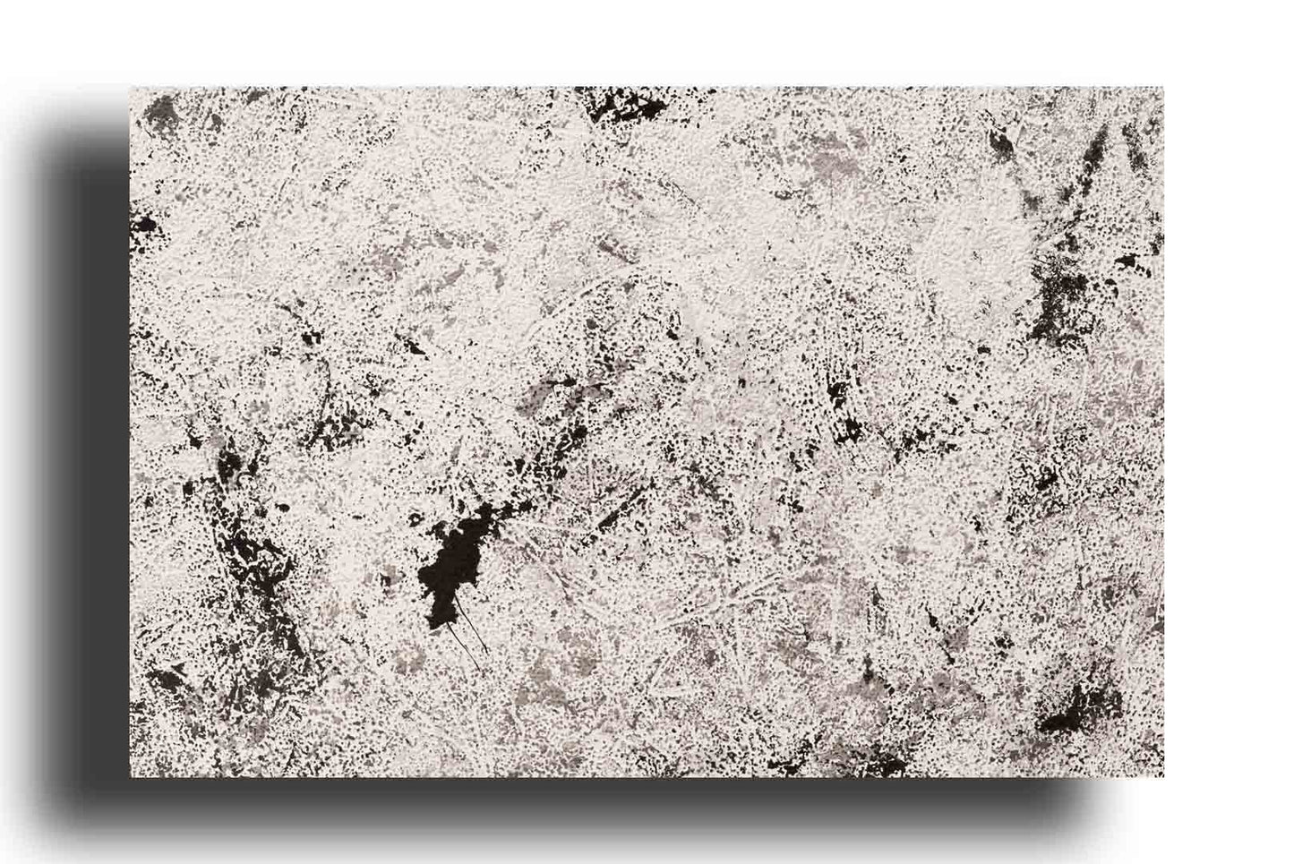 Textura Blanca Abstracta