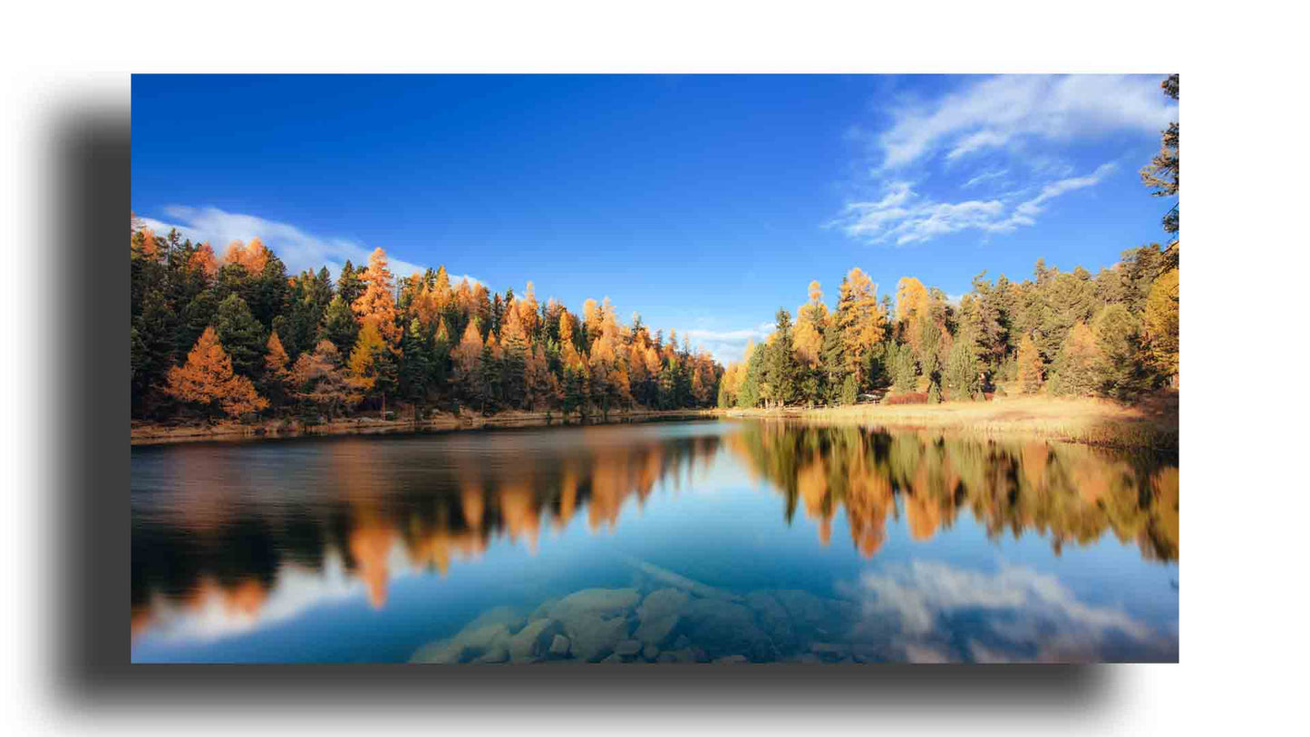 Paisaje de Otoño en un Lago de Suiza