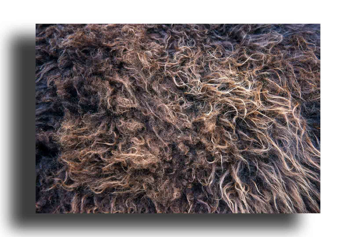 Textura de pelaje marrón