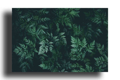 Fondo de Hojas Verdes Oscuras